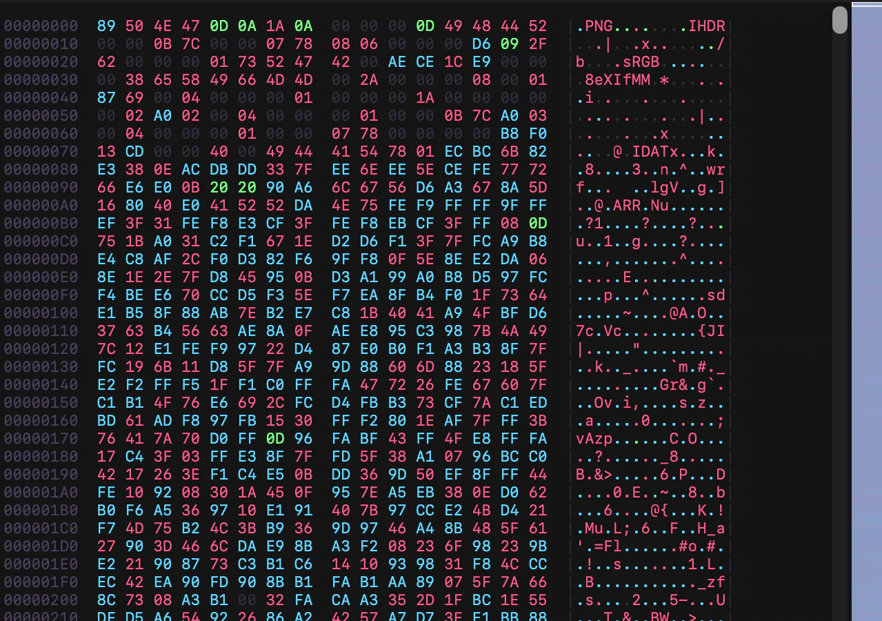 Close-up of Nyxd Editor's hex view: offset column, hex bytes, and the decoded ASCII gutter showing .PNG and IHDR